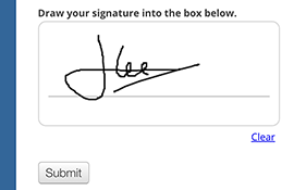 Electronic Signature