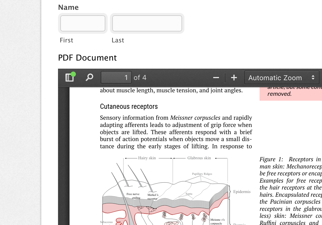 Embed PDF